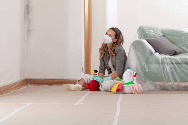 Reliable Mold Testing contractor in Oak Park, IL by WQB Mold Removal